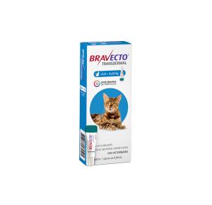 Antipulgas Bravecto Transdermal para Gatos de 2,8 a 6,25kg - MSD Saúde Animal - 250mg