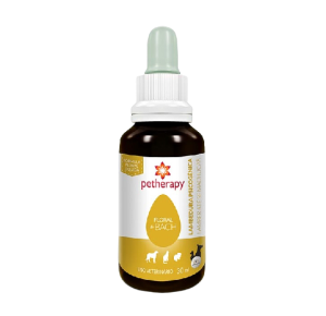 Floral de Bach Lambedura Psicogênita Petherapy para Cães e Gatos - 30ml